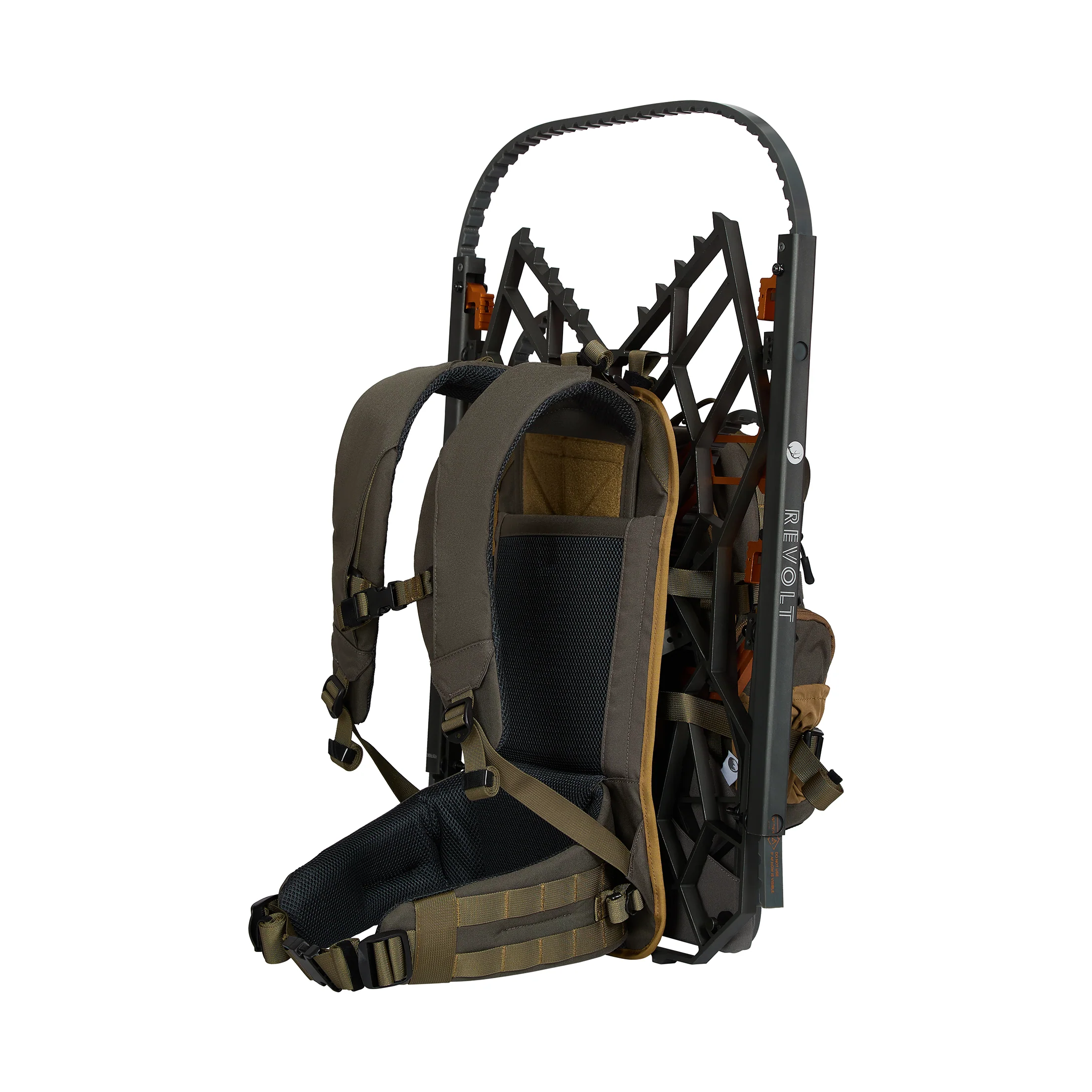 PHASE - Image 4